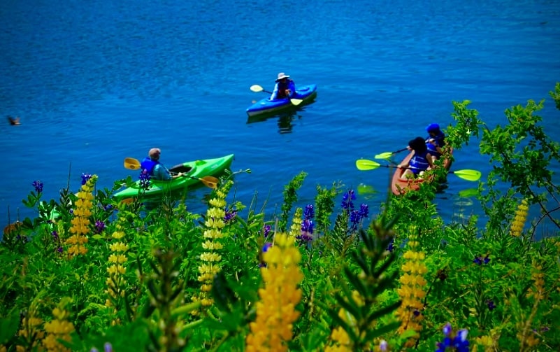 Tandem kayaks, two person kayak, single kayak. kayak rental, 700 Main street, napa, ca