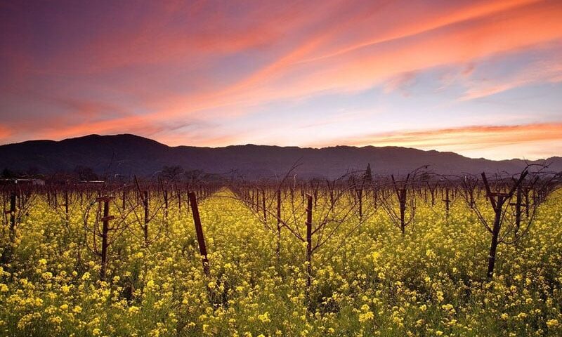 Napa-Hike-Bike-Kayak