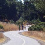 napa-bike-tours