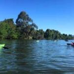 napa-kayaks