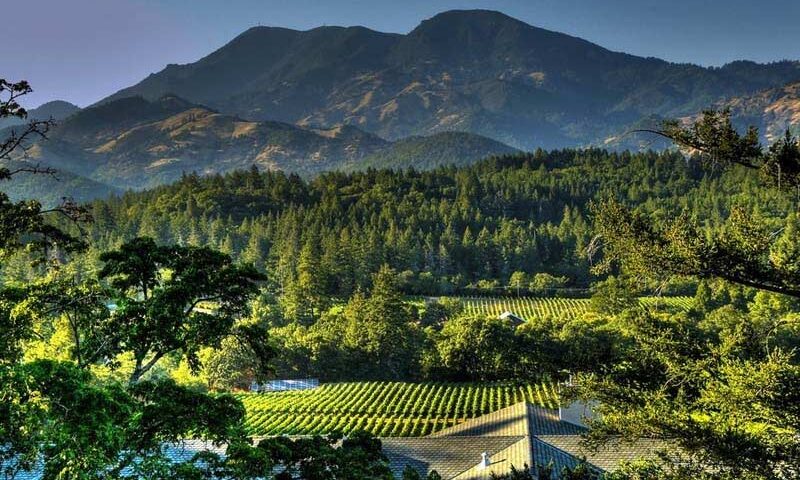 things-to-do-in-napa-other-than-wine