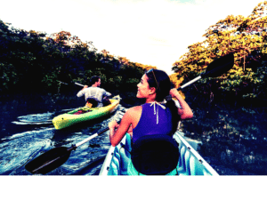 Napa River Kayak, Kayaking, Canoeing, and Paddleboarding