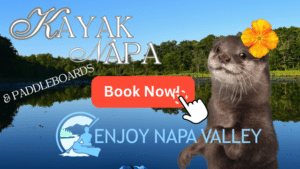 do in napa, best kayak company, napa kayak rental, napa kayaking, Napa River, kayak, kayaking