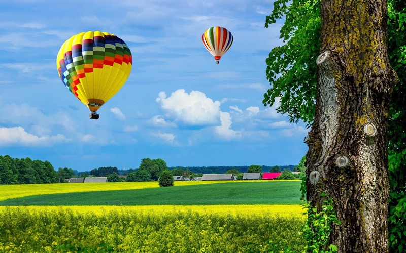 Napa Valley Hot Air Balloons