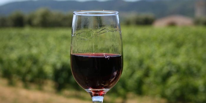 Napa Vs Sonoma Wines