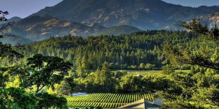 Things To Do In Napa Other Than Wine